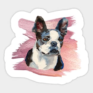 Boston Terrier Sticker